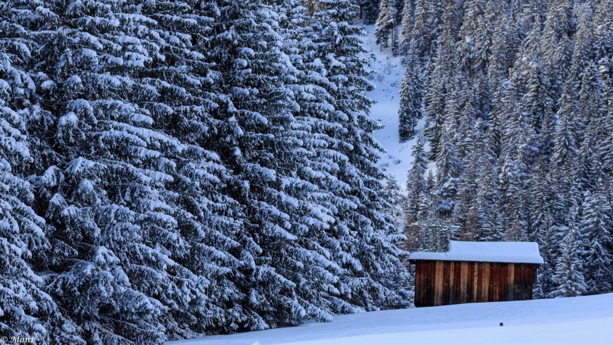 Haus Timmler Apartman Sankt Anton am Arlberg Kültér fotó